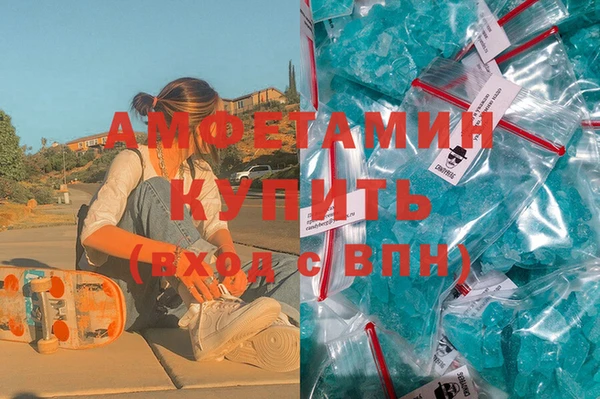 стаф Аркадак