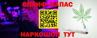 дмт Заводоуковск