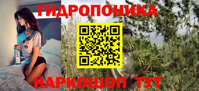дмт Заводоуковск