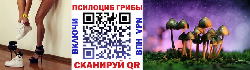 Псилоцибиновые грибы ЛСД сколько стоит Черняховск